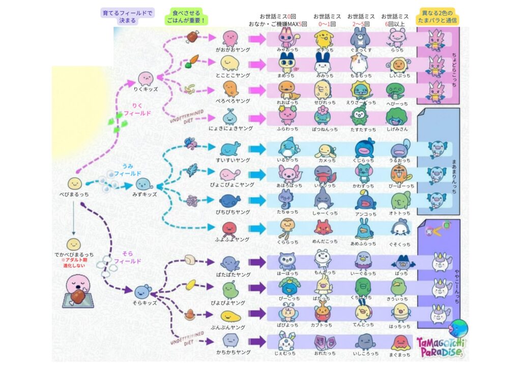 たまパラ　進化図